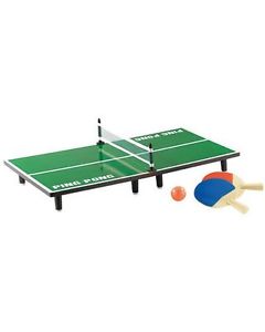 Mini Table de Ping Pong