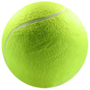 Penn Jumbo 10 Inch Inflatable Large Tennis Ball - Authorized Dealer - Reg $30