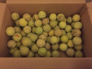 Lot of 85 Used Tennis Balls - Great for Dogs or Chair legs!
