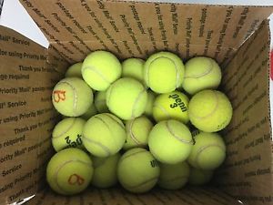 30 Used Tennis Balls Great For Your Dog! Woof!