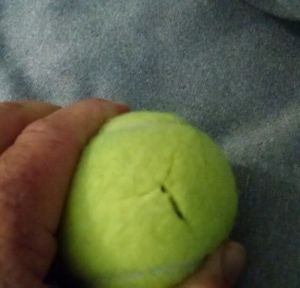 60 Clean  Tennis Balls For Chairs precut pre-cut pre cut----No PO Box