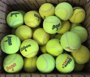 36 Used Tennis Balls Wilson and Penn Free Shipping!