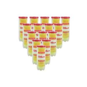 Wilson Championship Tennis 72balls (3 pcs x 24 cans) Extra Rendement Diameter8cm