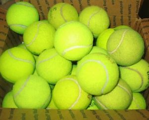 16 Tennis Balls for Chairs Dog Play Toys, Batting Practice~ Fetch Tennis sports