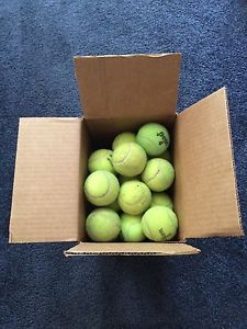 50 Used Tennis Balls - Variety of types and pressure - some have writing