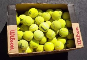 100 used tennis balls