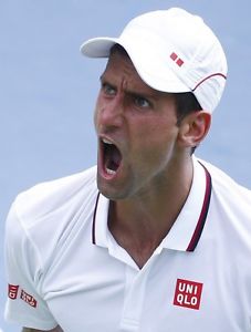 Uniqlo Djokovic US Open 2014 DRY EX Shirt M white