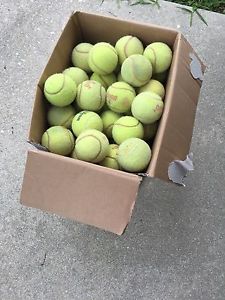 100 Used Tennis Balls Ideal for practice, dog toys, walkers, bottom of chairs