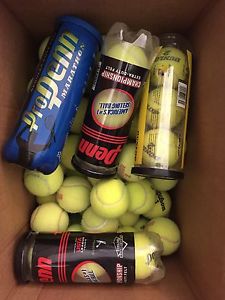 100 Used Tennis Balls -Practice or Highly Trained to Silence Chairs -FREE SHIP