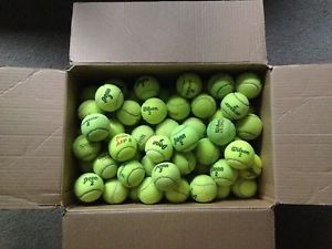 100 Used Tennis Balls Ideal for practice, dog toys, walkers, bottom of chairs