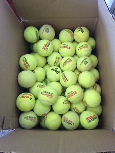 50 USED PRACTICE TENNIS BALLS FOR CRAFTS DOGS ETC.. FREE SHIPPING!!