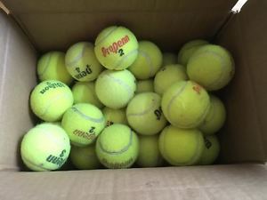 Tennis Balls Fifty (50) Used for Tennis Only CLEAN VGC to EUC Various Brands