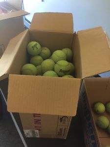 100 used tennis balls