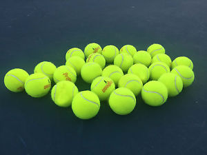 25 USED Tennis Balls ~ Dog Toy Catch Baseball~Walker Table Chair feet~FREE SHIP!
