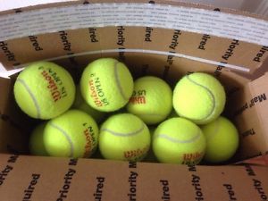 130 INDOOR USED TENNIS BALLS-GIFT FOR YOUR DOG! WOW! DOGS LUV THEM