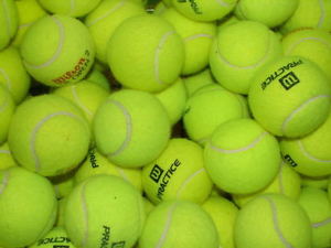 500+ Tennis Balls (Lightly Used / Various Brands) Dog Toy, Penn, Wilson, Dunlop