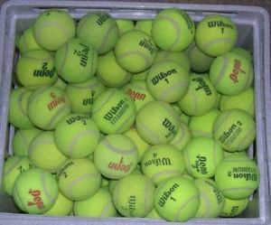 100 Used Tennis Balls Dog Toys Treats Low Price Penn Wilson Dunlop Tennis Balls