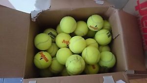 100 used tennis balls-High Quality Dog balls