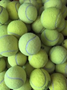 100 Used Tennis Balls