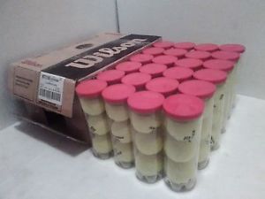 WILSON WTEAM T1019W ALL COURT PRACTICE Tennis Balls 1 Case (72 Balls/24 cans)