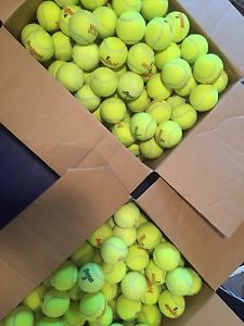 100 Used tennis balls