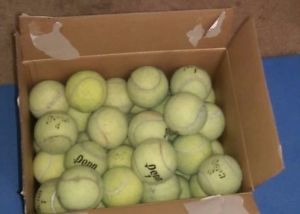 Used Green Dot Low Compression Tennis Balls - Box of 100