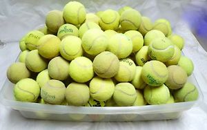 176 Used Tennis Ball Lot: Wilson, Penn, Dunlop, USPTA