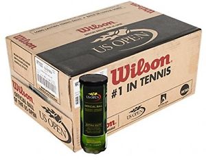 Wilson US Open Extra Duty Tennis Balls - Case