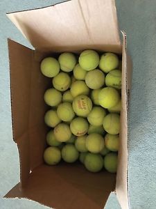 120 Used Tennis Balls Ideal for Dog Toys - Pitching  Machines   Fast USPS