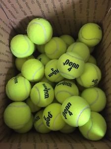 36 Used Tennis Balls Penn and Wilson Free Shipping!