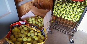 900 Used Tennis Balls. LOCAL PICK UP ONLY no shipping!