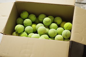 100 USED TENNIS BALLS