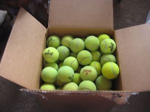 100 USED TENNIS BALL LOT DOG TOY CHAIRS PRACTICE BALLS