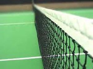 Tennis Court Net Standard Size S