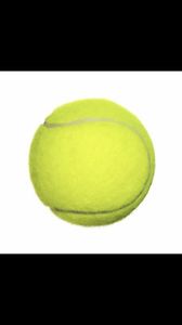 100 Used Tennis Balls- USPS shipping