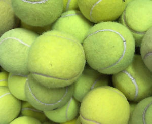 300 Used Tennis Balls - Free FedEx Shipping - Dog Toys