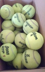 30 USED Tennis Balls - Walker Table Chair Play Catch Dog Tennis Practice