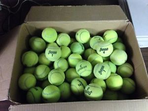 100 Used Tennis Balls great for practice and Super Dog Chews