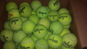 100 Used Tennis balls various brands wilson penn