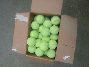 300 Used Tennis Balls - Fast FedEx Shipping - Dog Toys