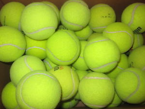 LOT O 50 Dead Tennis Balls Dogs Fetch Bottom of Walkers or Chairs mixed brands