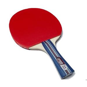 DHS Table Tennis Racket  Penhold Shakehand  Two pack 2002Shakehand