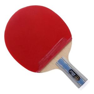 DHS 6-Star A6006 Table Tennis Racket Penhold