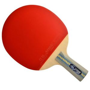 DHS E-E606 Table Tennis Racket Penhold