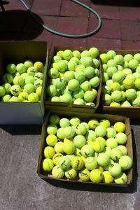 100 Used Tennis Balls