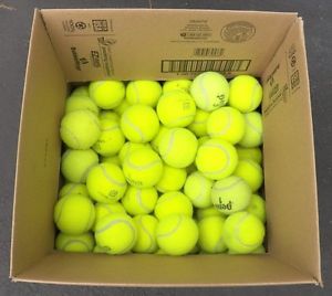 100 Used Tennis Balls