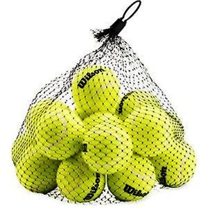 Wilson Pressureless Tennis Balls 18-Pack