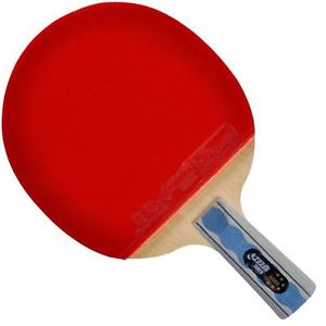 DHS A6006 Table Tennis Racket Penhold