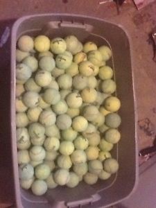 300 Used Tennis Balls