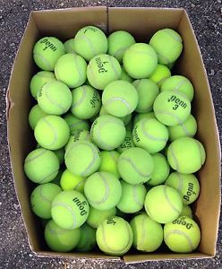 100 Used Tennis Balls, Dogs, Chairs, Toys, Baseball, etc...